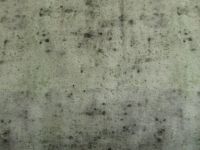 0,50 m French terry  - 150 cm  - Sprenkle - 22,50 Euro/m