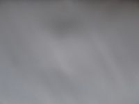 Baumwollstoff - 150 cm - weiss