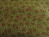 Back in the Day - wild Berries light olive