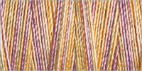 Maschinenstickgarn - Sulky - 300 m - 4103