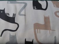 Halbpanama Katzen - 140 cm - bunt