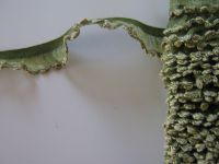 Rüsche - 15 mm - hellgrün - elastisch