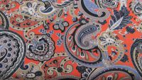 2,00 m Jersey - Viskose - 140 cm - Paisley rot