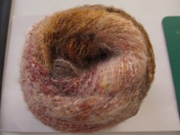 GALAXY - 50 g - herbstlich - beige braun weinrot